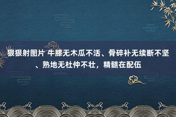 狠狠射图片 牛膝无木瓜不活、骨碎补无续断不坚、熟地无杜仲不壮，精髓在配伍