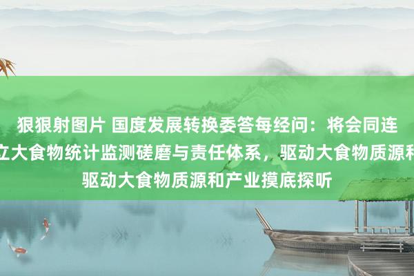 狠狠射图片 国度发展转换委答每经问：将会同连络部门臆测确立大食物统计监测磋磨与责任体系，驱动大食物质源和产业摸底探听