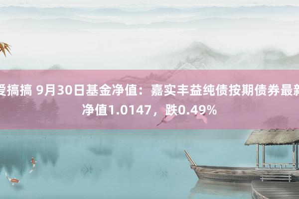 爱搞搞 9月30日基金净值：嘉实丰益纯债按期债券最新净值1.0147，跌0.49%