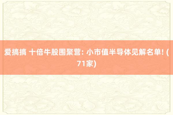 爱搞搞 十倍牛股围聚营: 小市值半导体见解名单! (71家)