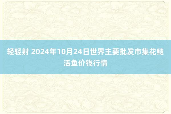 轻轻射 2024年10月24日世界主要批发市集花鲢活鱼价钱行情