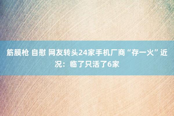 筋膜枪 自慰 网友转头24家手机厂商“存一火”近况：临了只活了6家