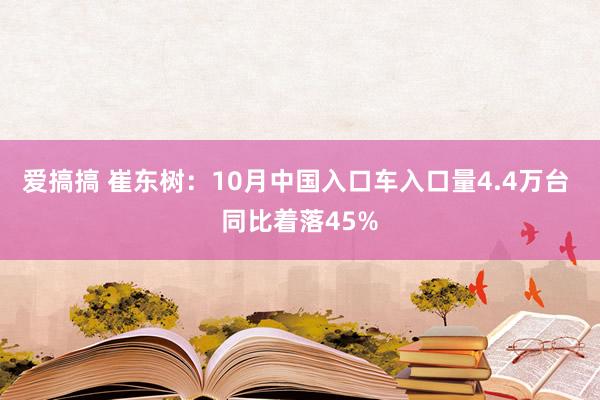 爱搞搞 崔东树：10月中国入口车入口量4.4万台 同比着落45%