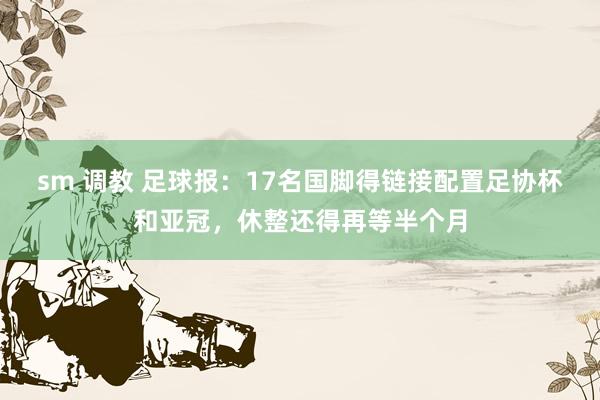 sm 调教 足球报：17名国脚得链接配置足协杯和亚冠，休整还得再等半个月
