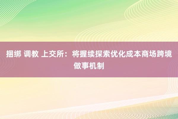 捆绑 调教 上交所：将握续探索优化成本商场跨境做事机制