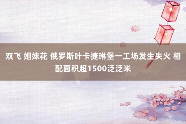 双飞 姐妹花 俄罗斯叶卡捷琳堡一工场发生失火 相配面积超1500泛泛米