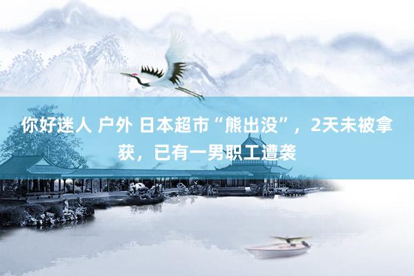 你好迷人 户外 日本超市“熊出没”，2天未被拿获，已有一男职工遭袭