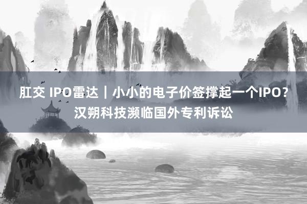 肛交 IPO雷达｜小小的电子价签撑起一个IPO？汉朔科技濒临国外专利诉讼