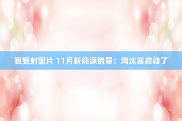 狠狠射图片 11月新能源销量：淘汰赛启动了