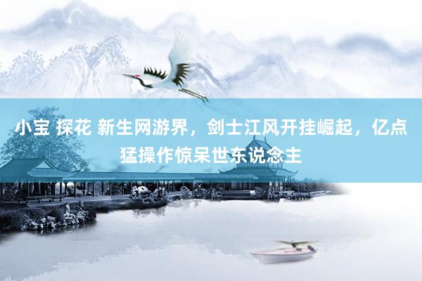小宝 探花 新生网游界，剑士江风开挂崛起，亿点猛操作惊呆世东说念主