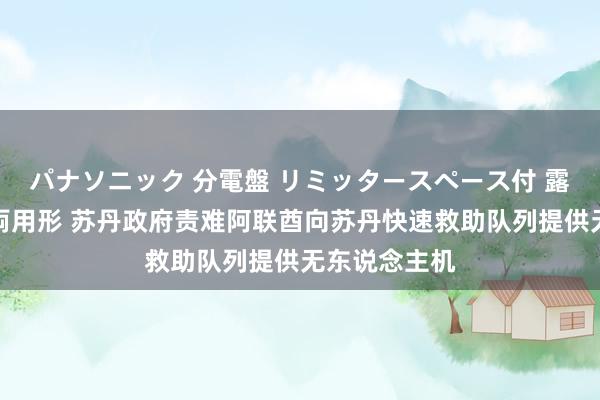 パナソニック 分電盤 リミッタースペース付 露出・半埋込両用形 苏丹政府责难阿联酋向苏丹快速救助队列提供无东说念主机