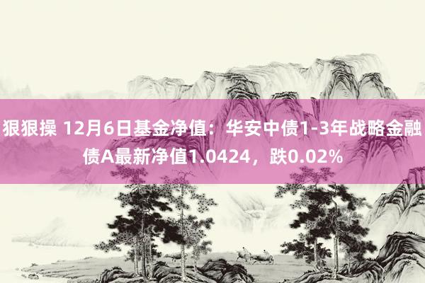 狠狠操 12月6日基金净值：华安中债1-3年战略金融债A最新净值1.0424，跌0.02%