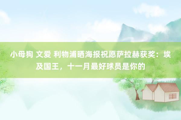 小母狗 文爱 利物浦晒海报祝愿萨拉赫获奖：埃及国王，十一月最好球员是你的