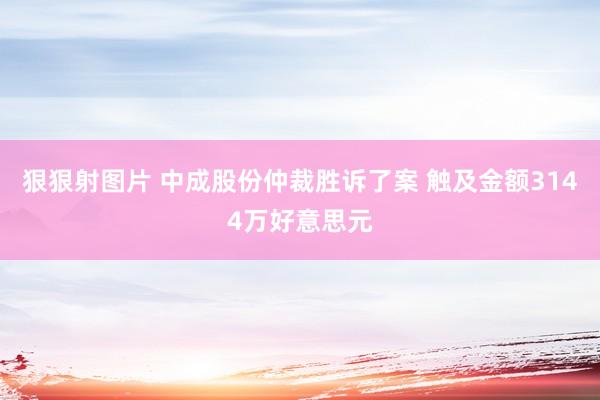 狠狠射图片 中成股份仲裁胜诉了案 触及金额3144万好意思元