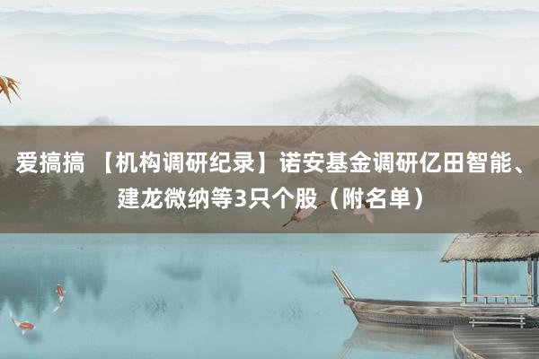 爱搞搞 【机构调研纪录】诺安基金调研亿田智能、建龙微纳等3只个股（附名单）
