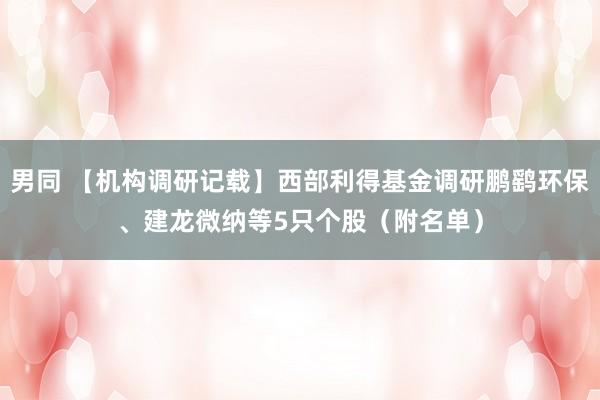 男同 【机构调研记载】西部利得基金调研鹏鹞环保、建龙微纳等5只个股（附名单）