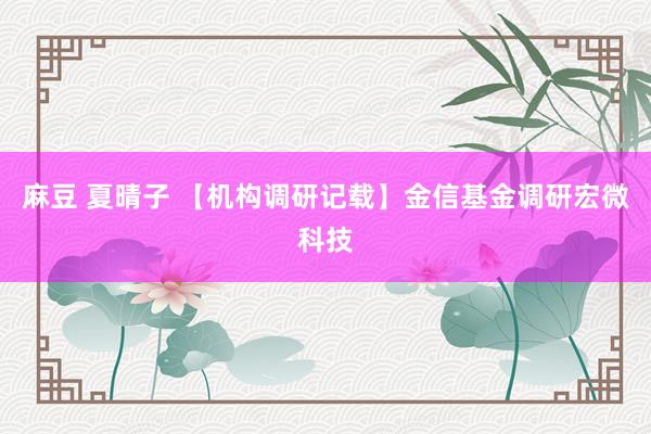 麻豆 夏晴子 【机构调研记载】金信基金调研宏微科技