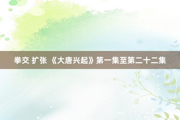 拳交 扩张 《大唐兴起》第一集至第二十二集