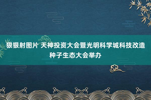 狠狠射图片 天神投资大会暨光明科学城科技改造种子生态大会举办