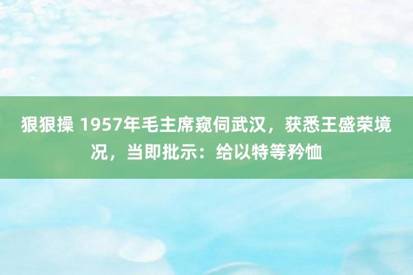 狠狠操 1957年毛主席窥伺武汉，获悉王盛荣境况，当即批示：给以特等矜恤