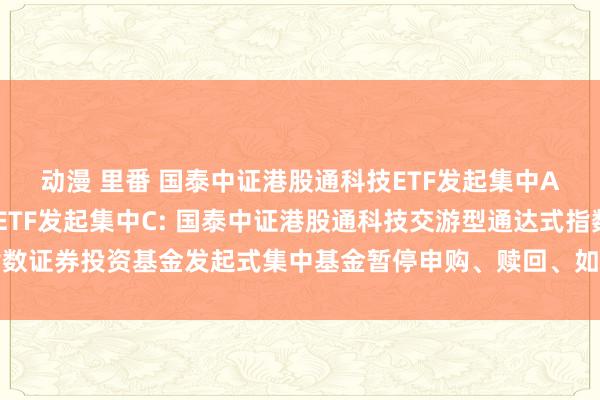 动漫 里番 国泰中证港股通科技ETF发起集中A,国泰中证港股通科技ETF发起集中C: 国泰中证港股通科技交游型通达式指数证券投资基金发起式集中基金暂停申购、赎回、如期定额投资及诊治业务的公告