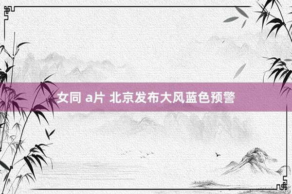 女同 a片 北京发布大风蓝色预警