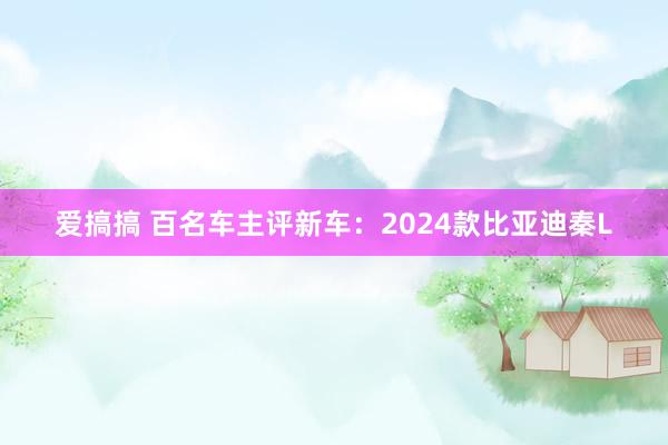 爱搞搞 百名车主评新车：2024款比亚迪秦L