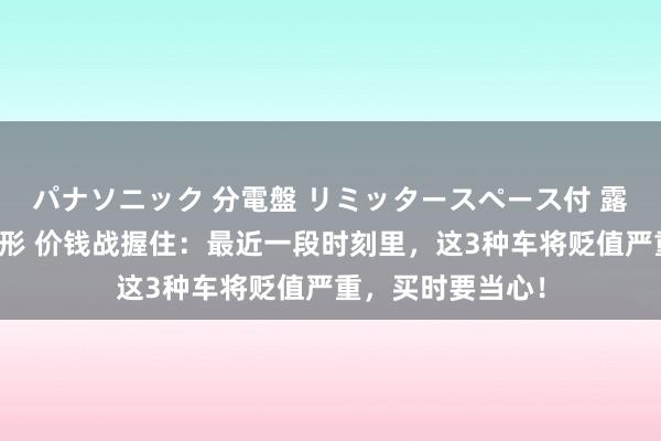 パナソニック 分電盤 リミッタースペース付 露出・半埋込両用形 价钱战握住：最近一段时刻里，这3种车将贬值严重，买时要当心！