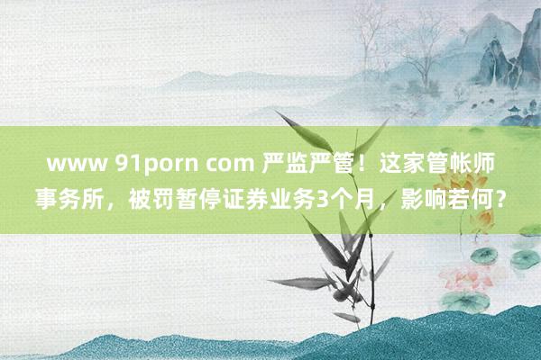www 91porn com 严监严管！这家管帐师事务所，被罚暂停证券业务3个月，影响若何？