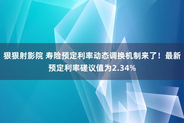 狠狠射影院 寿险预定利率动态调换机制来了！最新预定利率磋议值为2.34%