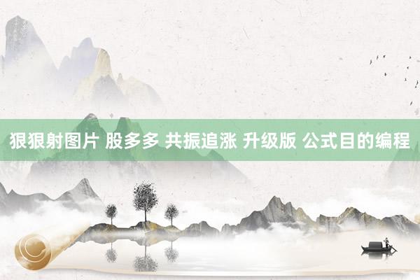 狠狠射图片 股多多 共振追涨 升级版 公式目的编程