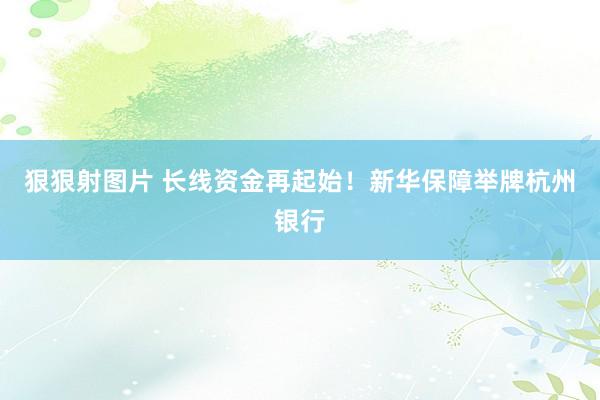 狠狠射图片 长线资金再起始！新华保障举牌杭州银行