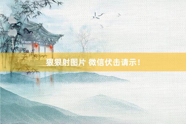 狠狠射图片 微信伏击请示！