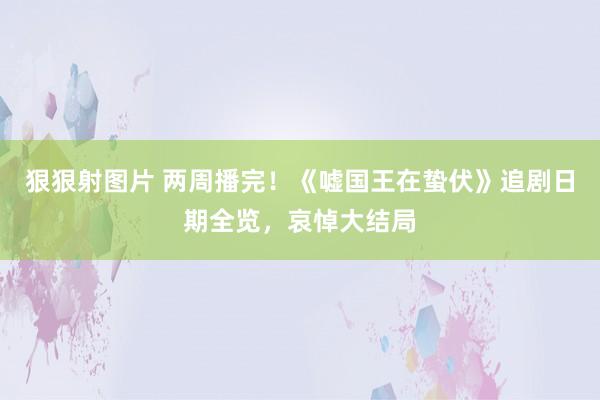 狠狠射图片 两周播完！《嘘国王在蛰伏》追剧日期全览，哀悼大结局