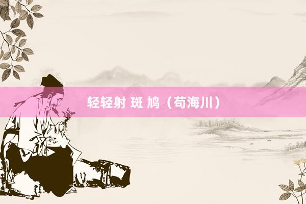 轻轻射 斑 鸠（苟海川）