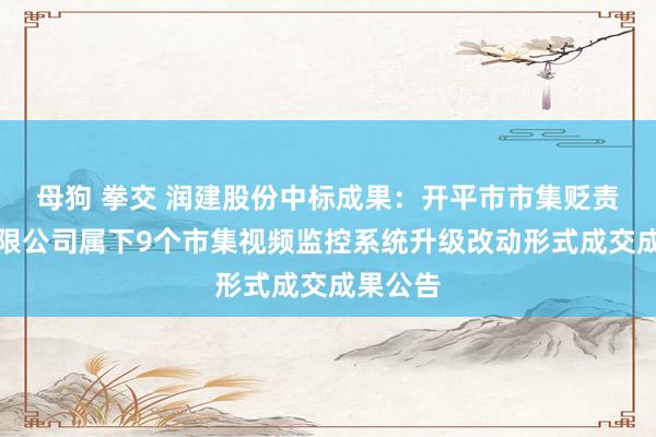 母狗 拳交 润建股份中标成果：开平市市集贬责办事有限公司属下9个市集视频监控系统升级改动形式成交成果公告