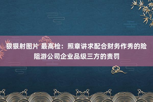 狠狠射图片 最高检：照章讲求配合财务作秀的险阻游公司企业品级三方的责罚