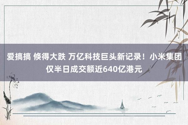 爱搞搞 倏得大跌 万亿科技巨头新记录！小米集团仅半日成交额近640亿港元