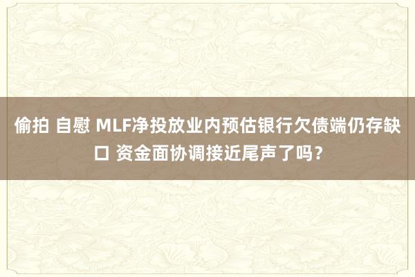 偷拍 自慰 MLF净投放业内预估银行欠债端仍存缺口 资金面协调接近尾声了吗？