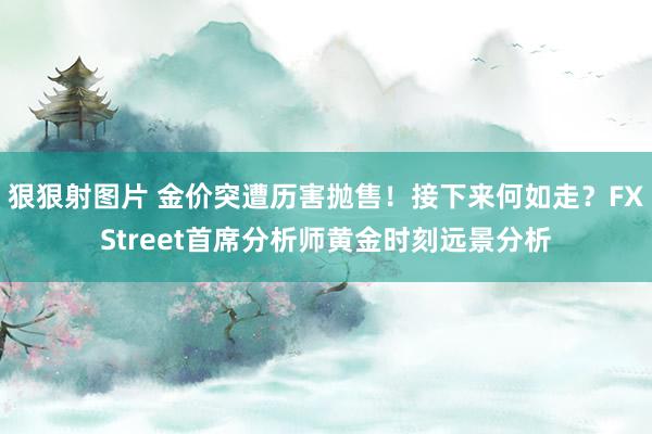 狠狠射图片 金价突遭历害抛售！接下来何如走？FXStreet首席分析师黄金时刻远景分析