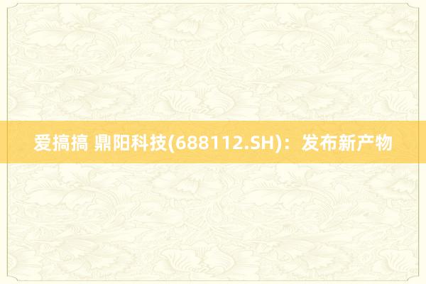 爱搞搞 鼎阳科技(688112.SH)：发布新产物