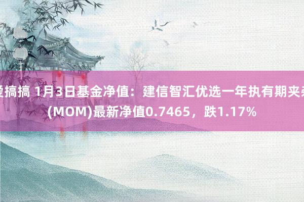 爱搞搞 1月3日基金净值：建信智汇优选一年执有期夹杂(MOM)最新净值0.7465，跌1.17%