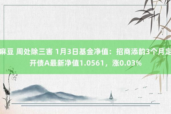 麻豆 周处除三害 1月3日基金净值：招商添韵3个月定开债A最新净值1.0561，涨0.03%
