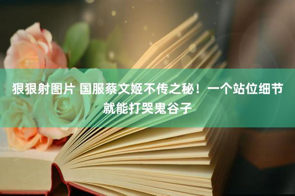 狠狠射图片 国服蔡文姬不传之秘！一个站位细节就能打哭鬼谷子