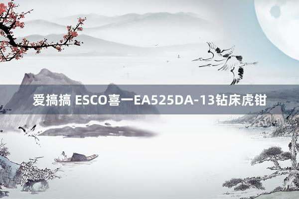 爱搞搞 ESCO喜一EA525DA-13钻床虎钳