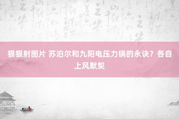 狠狠射图片 苏泊尔和九阳电压力锅的永诀？各自上风默契