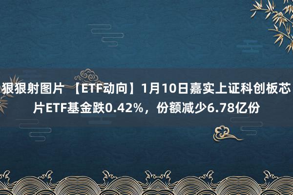 狠狠射图片 【ETF动向】1月10日嘉实上证科创板芯片ETF基金跌0.42%，份额减少6.78亿份