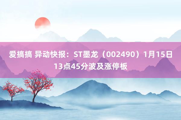 爱搞搞 异动快报：ST墨龙（002490）1月15日13点45分波及涨停板