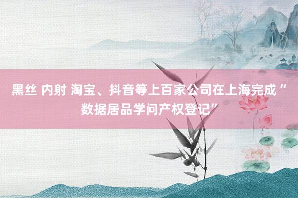黑丝 内射 淘宝、抖音等上百家公司在上海完成“数据居品学问产权登记”