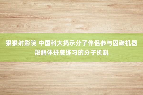 狠狠射影院 中国科大揭示分子伴侣参与固碳机器羧酶体拼装练习的分子机制